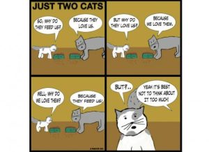 Stupid Bar Memes 431d2714dc42ca3b