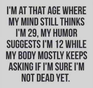 Stupid Bar Memes 4ae2f2523d51b37e