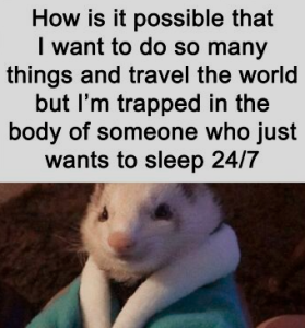 Stupid Bar Memes 4d73562c1ceb0dcc