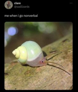 Stupid Bar Memes 5SE3kim