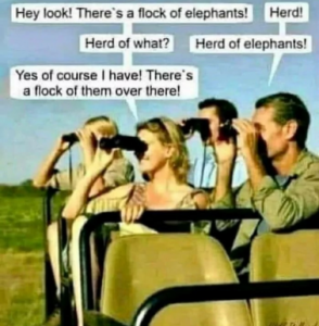 Stupid Bar Memes 60a1417301d41e7f
