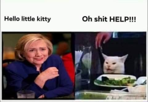Stupid Bar Memes 61f5c2d242d28f30