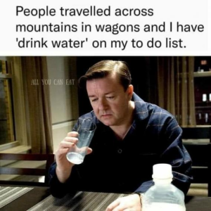 Stupid Bar Memes 625bf850689793c5