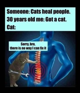 Stupid Bar Memes 63aded43cad04a7d