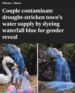 Stupid Bar Memes 65e57ca376dd9