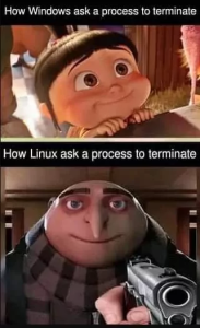 Stupid Bar Memes 65eb0c270ee3d