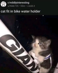Stupid Bar Memes 65eb32fe5f6cd