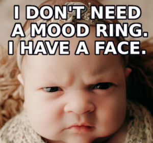 Stupid Bar Memes 68041acfdbcf6e92