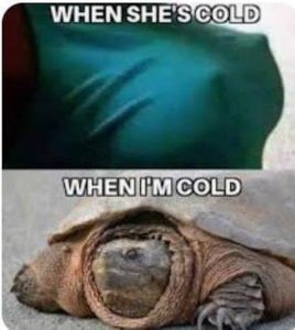 Stupid Bar Memes 771STORMERMEME040324.jpgs618x692