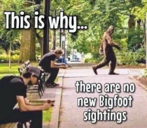 Stupid Bar Memes 77e5fa229ac4e3d4