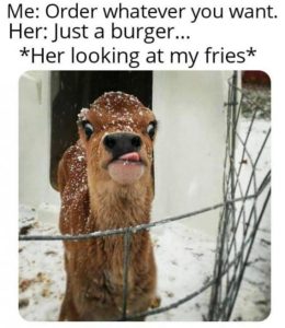 Stupid Bar Memes 785162d555ce1204