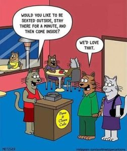 Stupid Bar Memes 788a38a7ebcf98a9