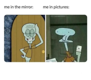 Stupid Bar Memes 7H8WNGU