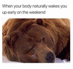 Stupid Bar Memes 7a5a496cd6add919