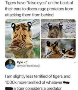 Stupid Bar Memes 8389f27fa43fd187