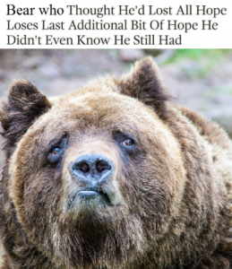 Stupid Bar Memes 895fe4c74d7d1dae
