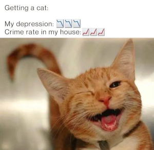 Stupid Bar Memes 8qqYFSu