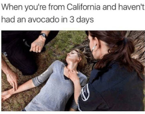 Stupid Bar Memes 9010195370f715d0