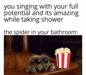 Stupid Bar Memes 916b450092df3e59