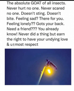 Stupid Bar Memes FJOxwCN