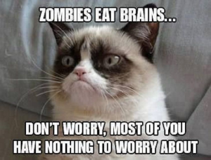 Stupid Bar Memes Grumpy6s5ab87025312834003759518f