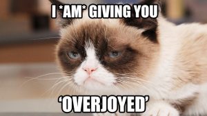 Stupid Bar Memes GrumpysCatsOverjoyedsasl