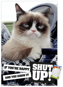 Stupid Bar Memes GrumpysCatsShutsUpsWallsPosters14s725sxs22s375s64e44e42s3506s410bsa281see4fcf8588fa.c9f49b5dd4d2688ce51059fba5e30630