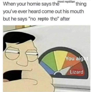 Stupid Bar Memes HqMvmIO