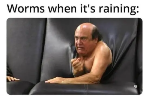 Stupid Bar Memes Is4u0Me
