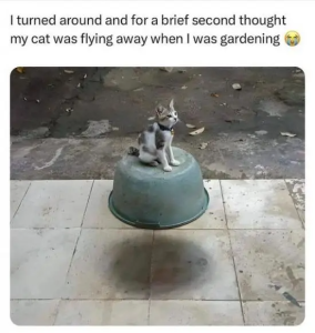 Stupid Bar Memes L7fKTL9