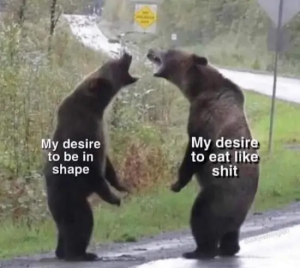 Stupid Bar Memes O0Rjixo