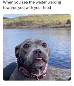 Stupid Bar Memes Q1UxVbM