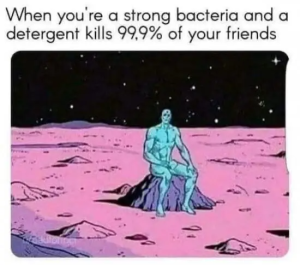 Stupid Bar Memes QAaLnb5