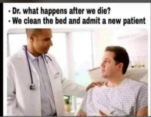 Stupid Bar Memes Rv12hxp