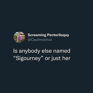 Stupid Bar Memes ScisFisMemessHumors14