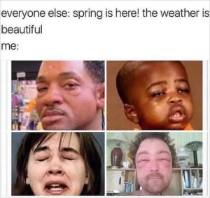 Stupid Bar Memes SpringsMemessHumors10