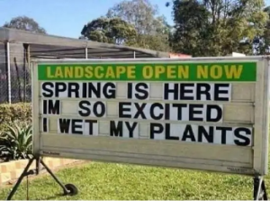 Stupid Bar Memes SpringsMemessHumors6