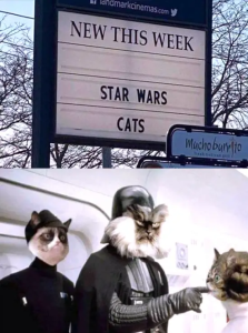 Stupid Bar Memes WARs03s10s24s3s1