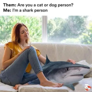 Stupid Bar Memes WMAs03s03s24s1s8