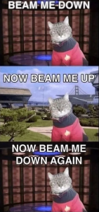 Stupid Bar Memes WMAs03s24s24s1s4