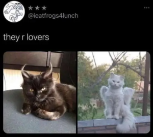 Stupid Bar Memes XC64mz1