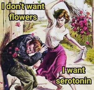 Stupid Bar Memes ZDwXNxf