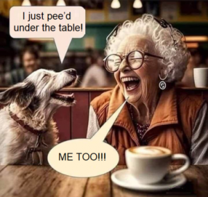 Stupid Bar Memes a10509efcbed4eaa