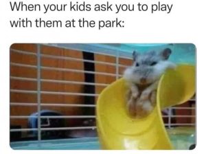 Stupid Bar Memes a47515f4e12f8df4
