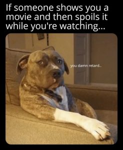 Stupid Bar Memes a6ZrOdRs700b