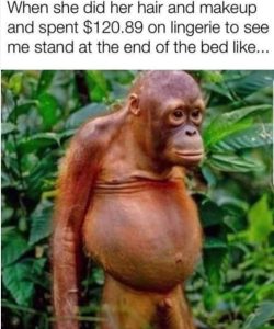 Stupid Bar Memes aA0nzeEs700b