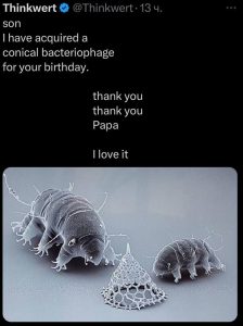Stupid Bar Memes aO8ovb2s700b