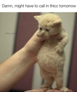 Stupid Bar Memes aRB6KRys700b