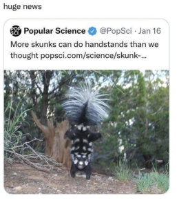 Stupid Bar Memes aWUQrlh
