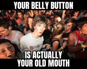 Stupid Bar Memes aXn84LVs700b